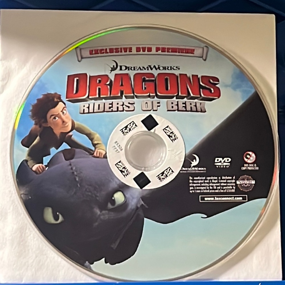 Dragons Riders Of Berk dvd